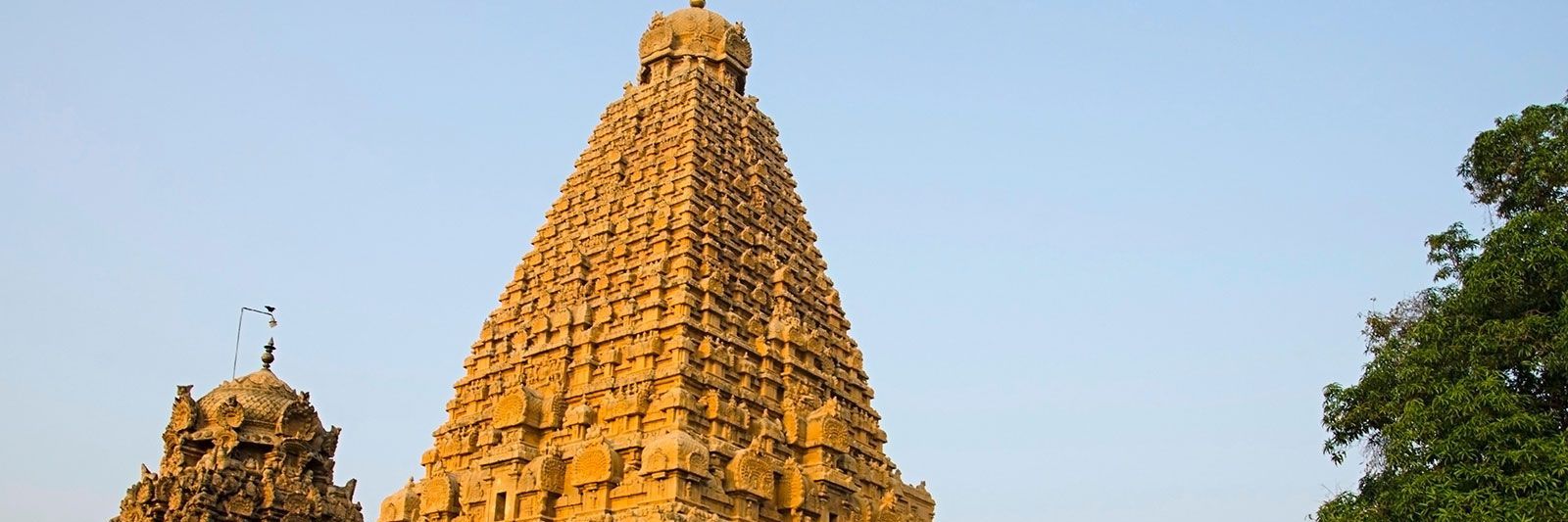 Soumik Sarkar banner