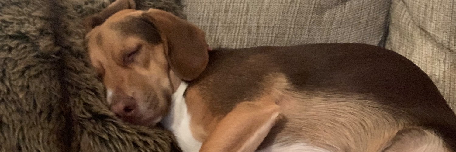 CarlyRenee_'s profile banner image