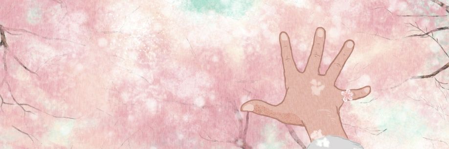 boc381001's profile banner image