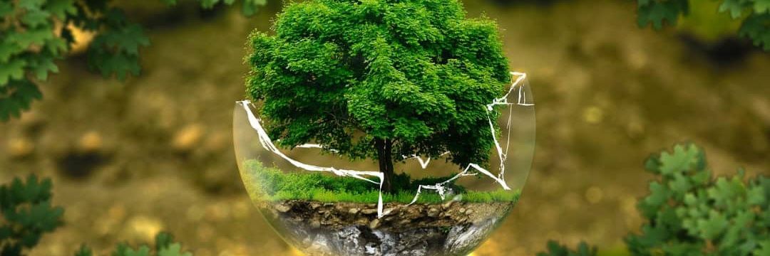 Web3boy🫎🫎 banner