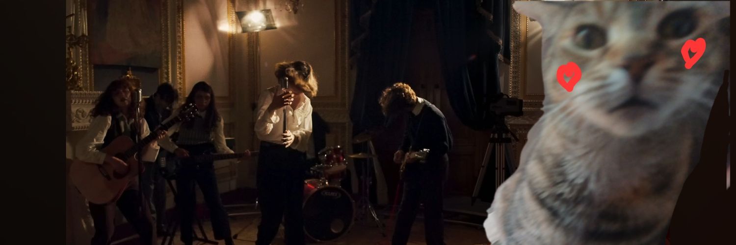 my love buzz es mi gato banner