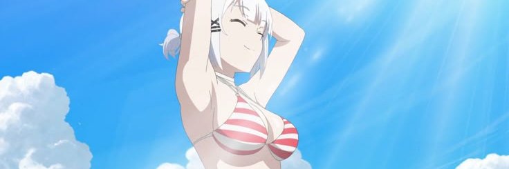 Siesta's banner