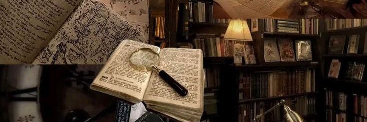 Sanne💫🇵🇸 banner