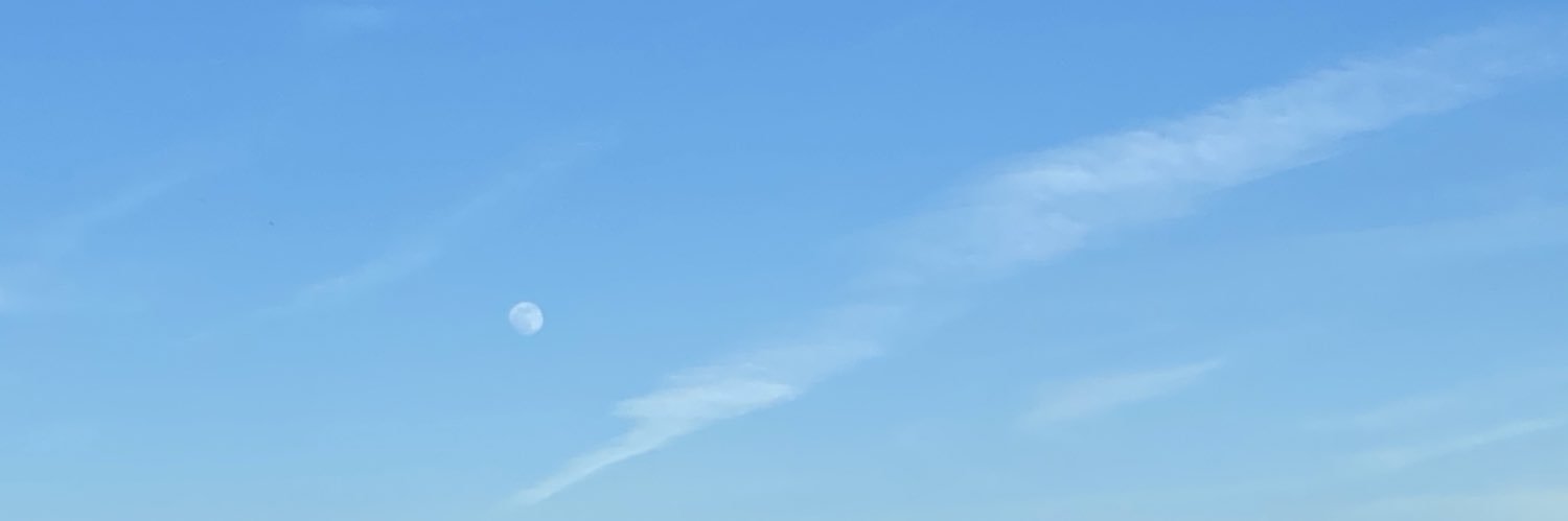 xrayol's profile banner image