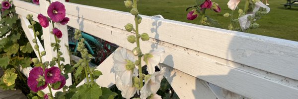 everythingnatty Profile Banner