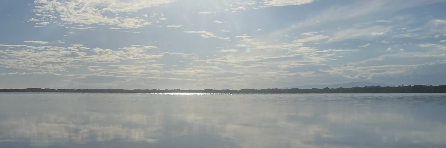Dáni banner