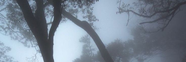 apocalypse06's profile banner image