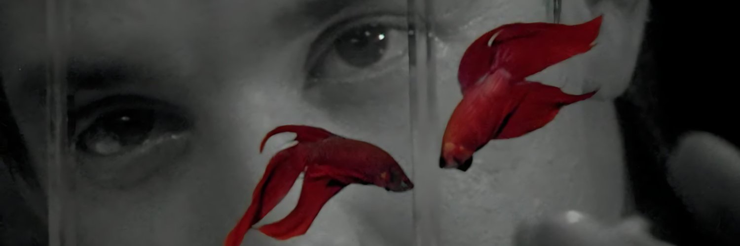 bull_bear007's profile banner image