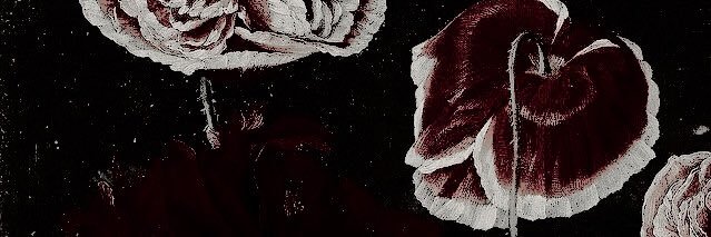 macetaxrk's profile banner image