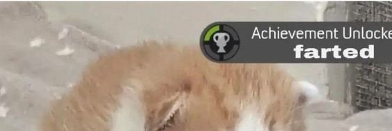 ThePunkVirgilVT's profile banner image