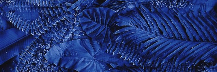 joacobalverde's profile banner image