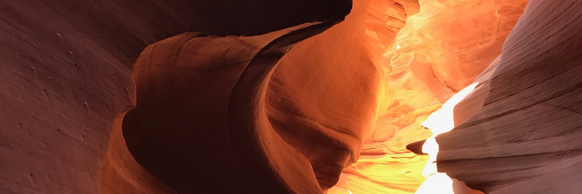 Caitlyn Mayers banner