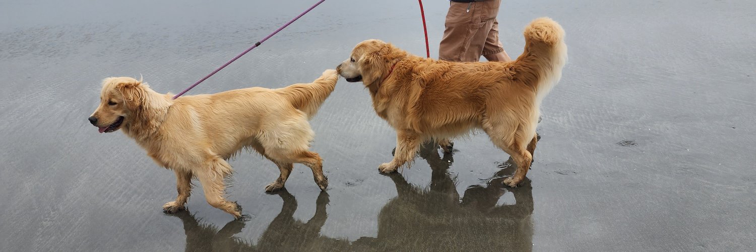 A Little Mental With Mike banner