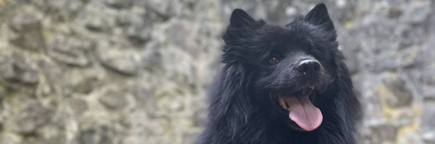 DatenshiSeb's profile banner image