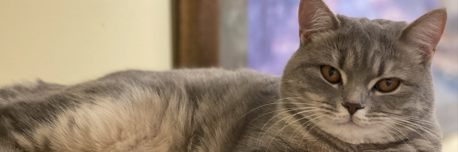 nxtl82's profile banner image