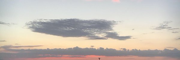 Zuleeeee Profile Banner