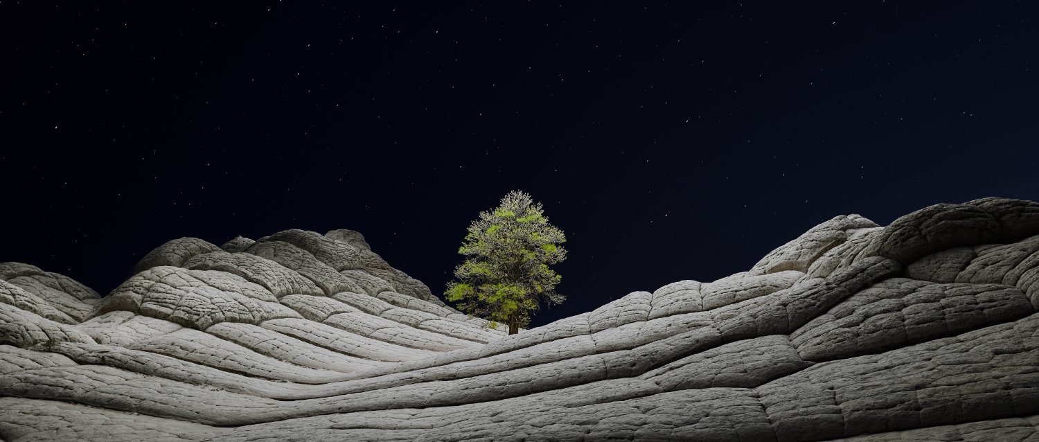 Toon & Casper banner