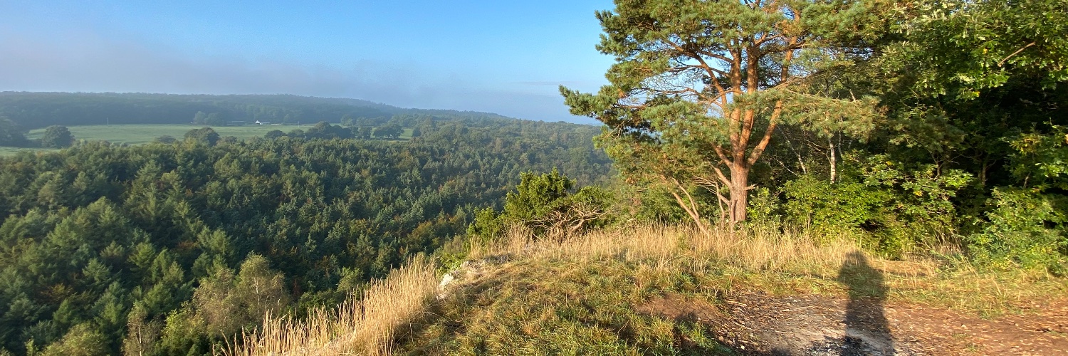 tabethanewman banner
