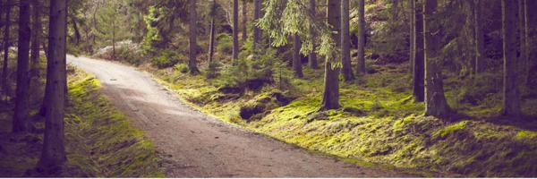 TifWalsh Profile Banner