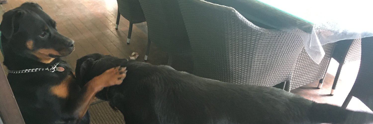 percsniffer's profile banner image