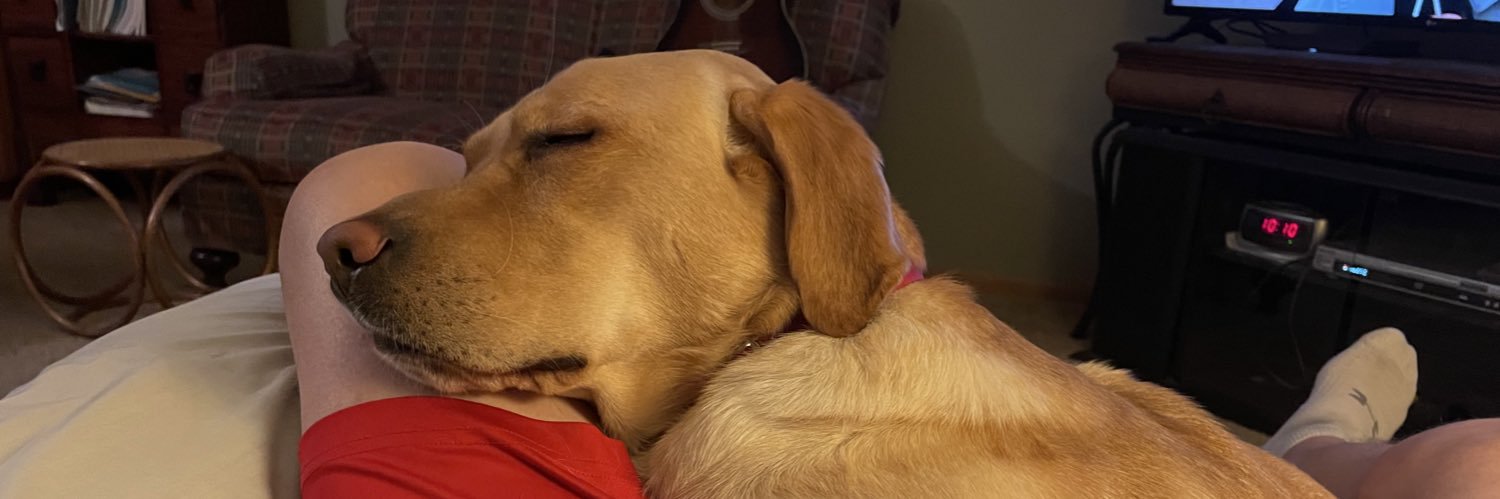 Craig Doerfler banner