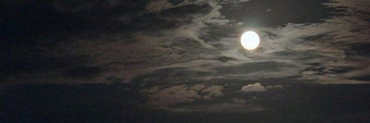 dpsydeev's profile banner image