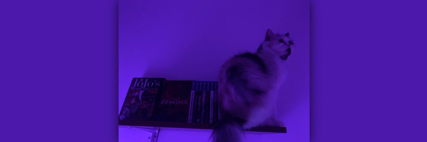 Yeah, it’s Dio, personally banner