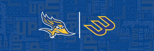 RunnerBSB Profile Banner