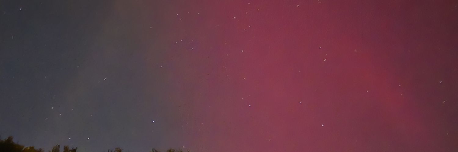 BacoSkunk's profile banner image