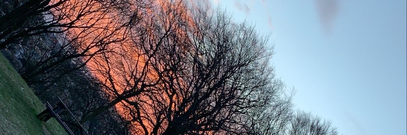 amybell830's profile banner image