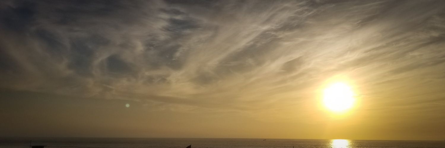 lesgrant's profile banner image