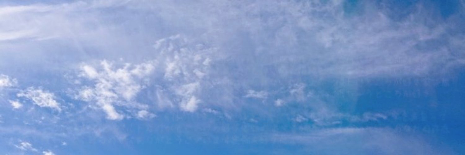 莉音🍃 banner