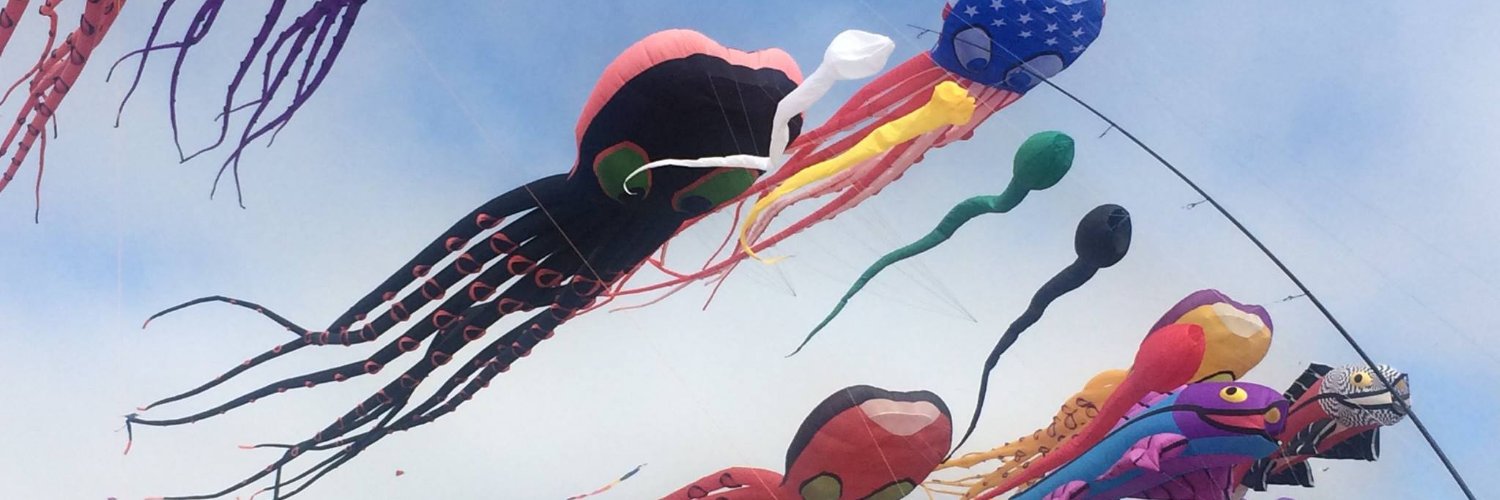 lisahix's profile banner image