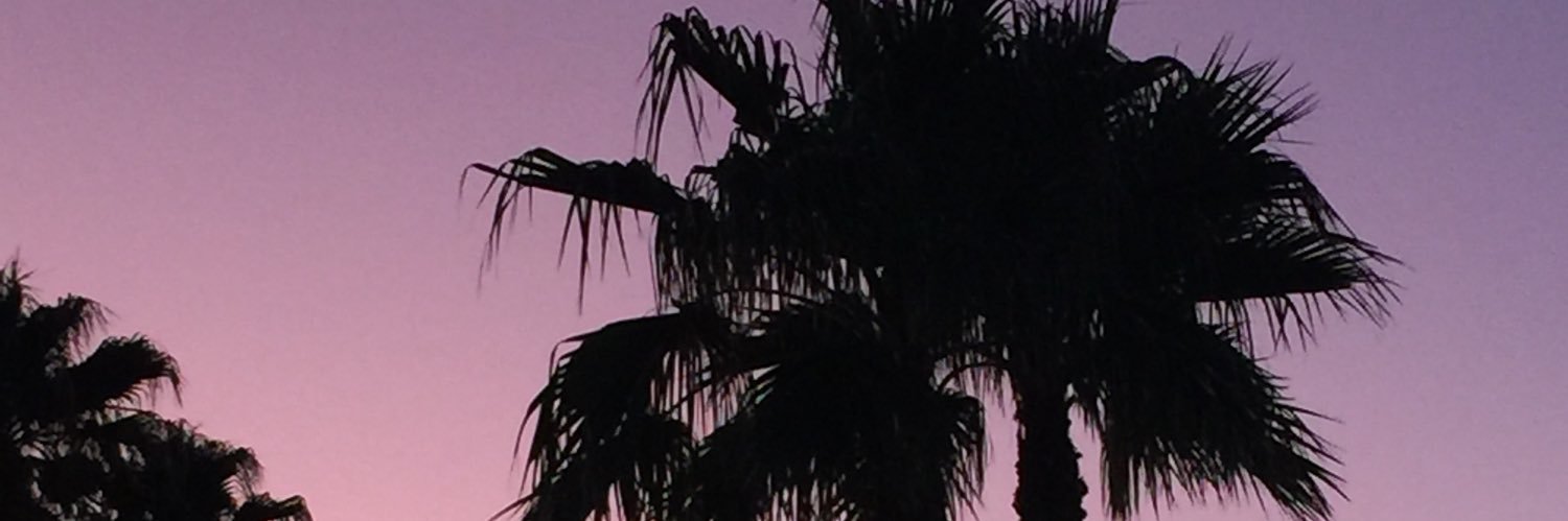 rowsdoweraud's profile banner image