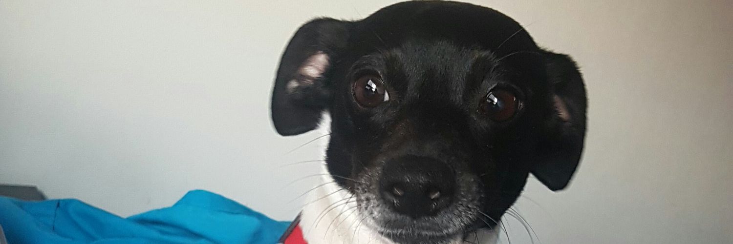 dougibanez's profile banner image