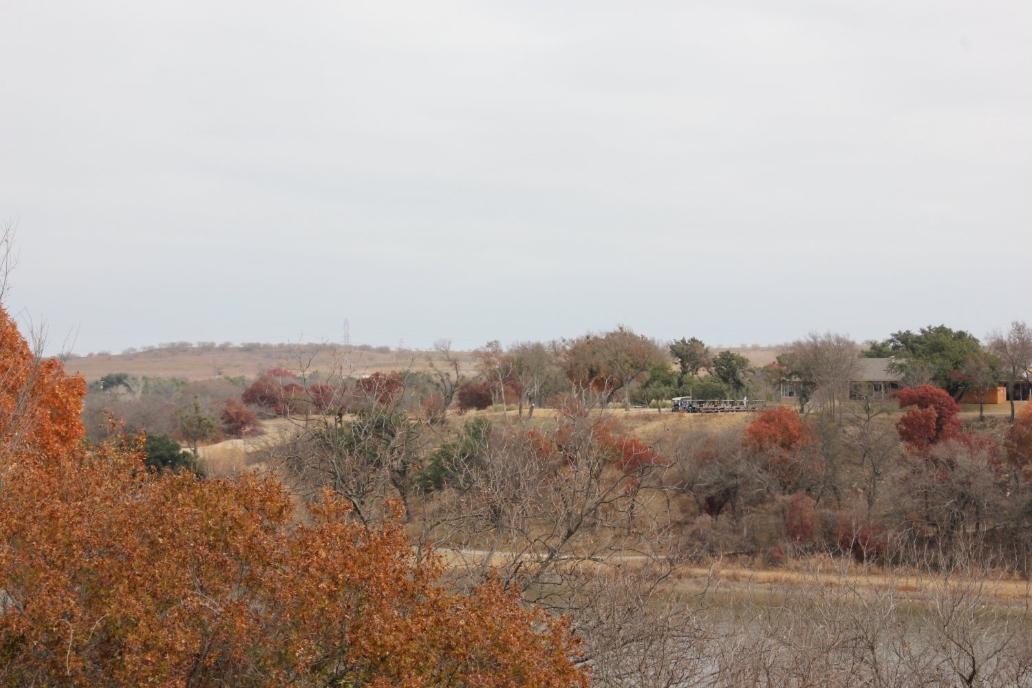 Not Ben Hogan banner