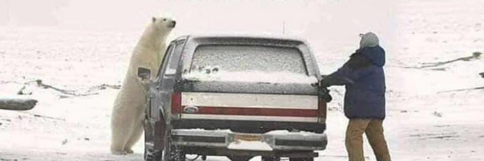 gutly_y's profile banner image