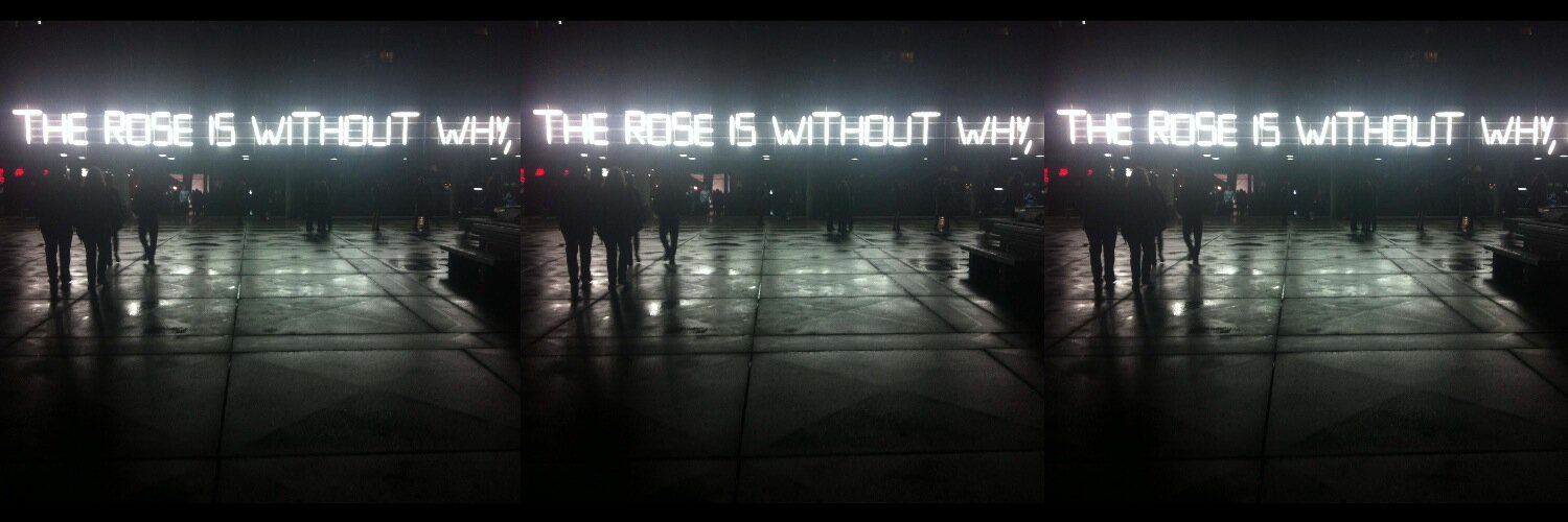 Rose_Pereira's profile banner image