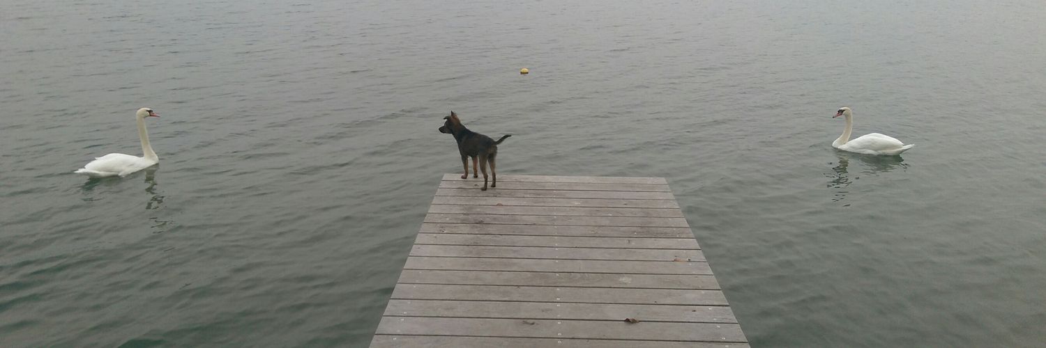 TheMoment🐦 banner