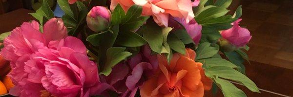 Koann Profile Banner