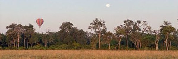 Wolf_Hours_ Profile Banner