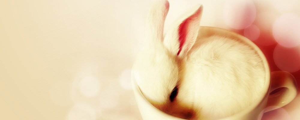 Moji_EB's profile banner image