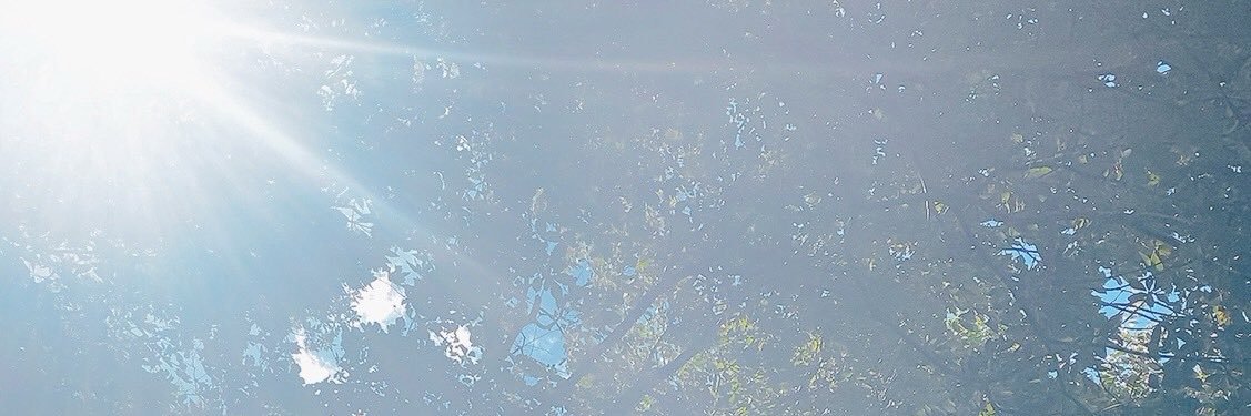 もけたに @掃除のおばちゃん banner