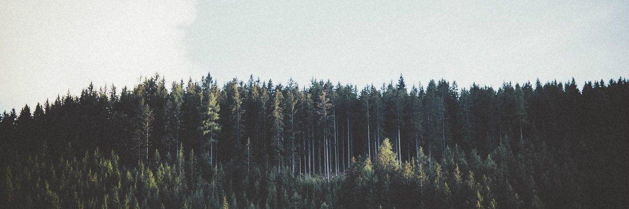 LoveJ_M_J's profile banner image