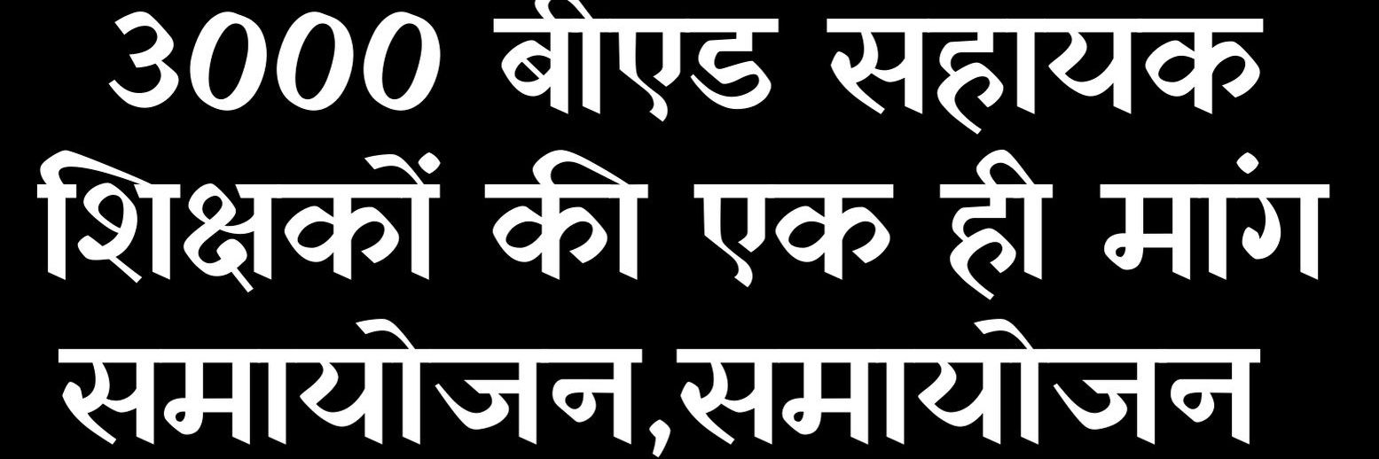 Shirin malewar banner