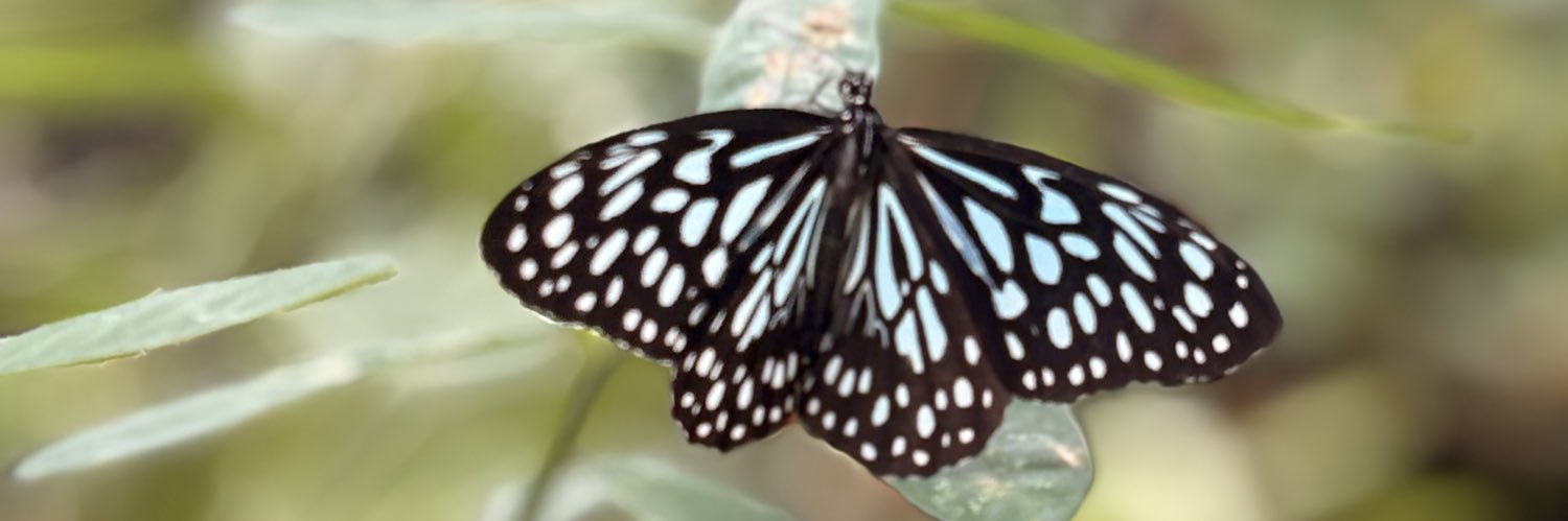 sithunraja's profile banner image