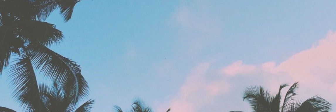 daipaduan's profile banner image