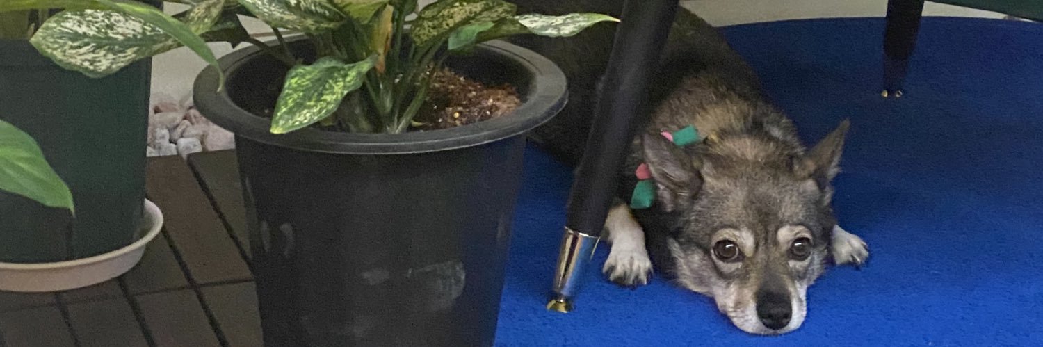 로로네 작업실 banner