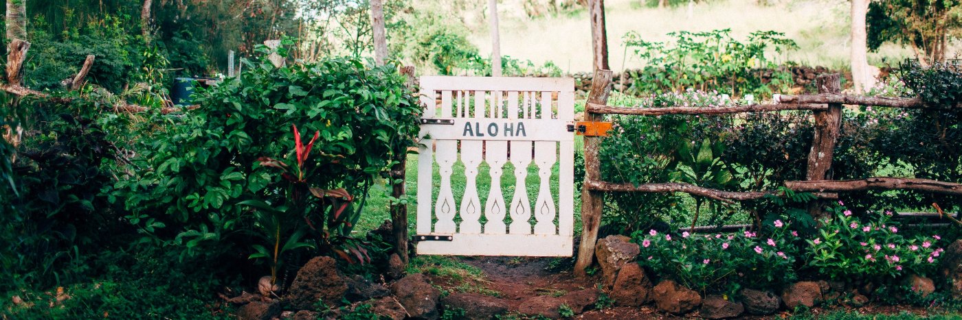 Miriam Warren banner