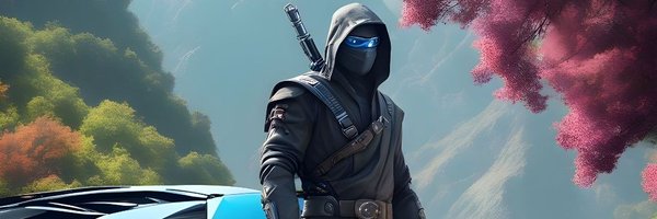 AlphaNinja44 Profile Banner